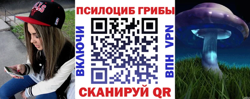 Галлюциногенные грибы прущие грибы  Купить где  Белореченск 